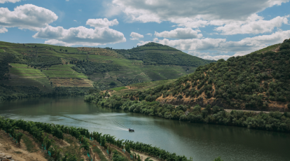 The Wine Route from north to south of Portugal
