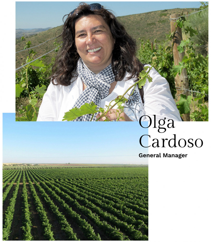 Olga Cardoso - Chief WineRouter Officer