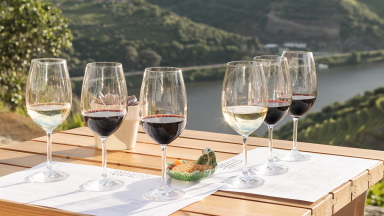Douro Premium - o Vinho, as Encostas e o Rio