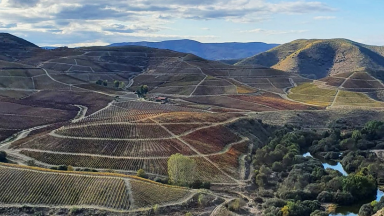 Discovering the Douro Valley #6