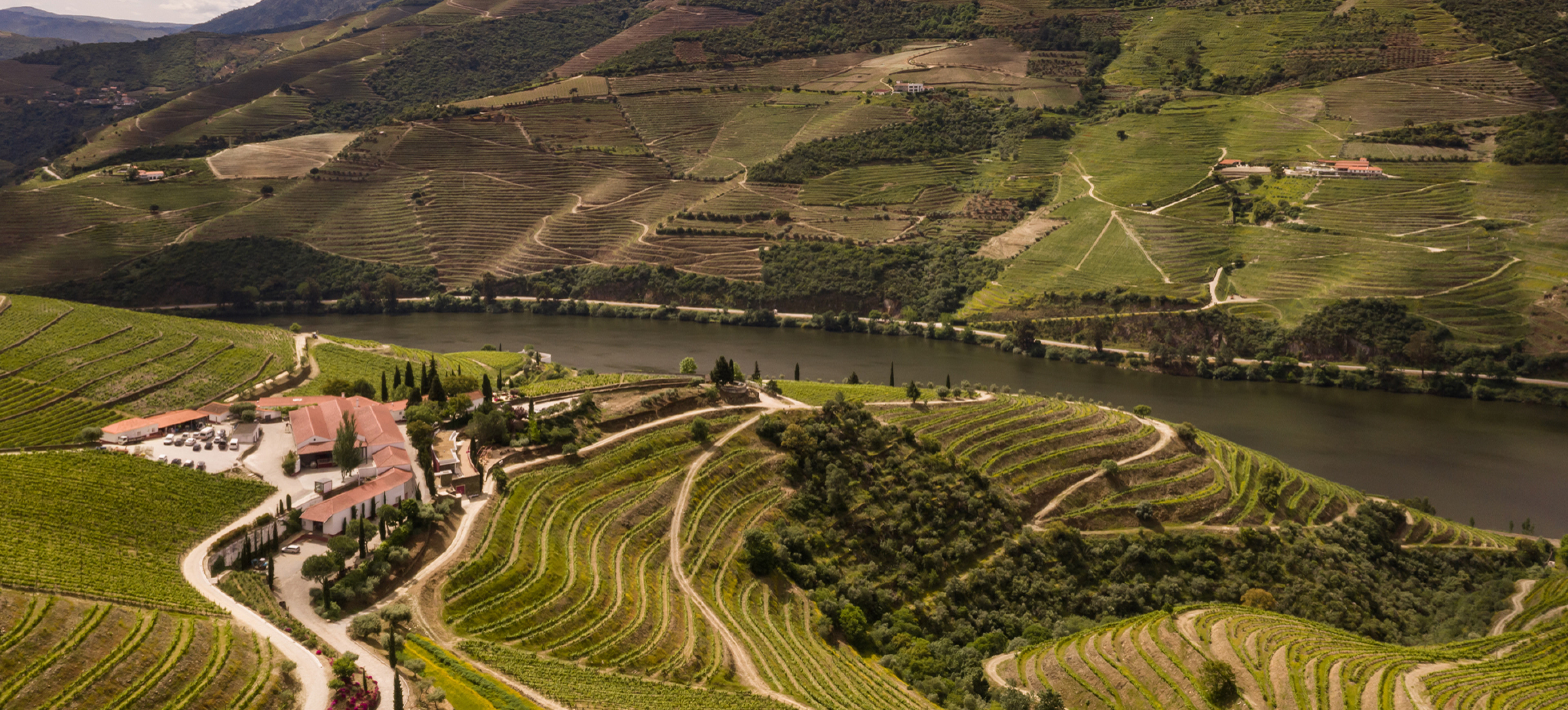 Douro - the Wine, the Hillsides, and the River