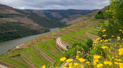 Luxury, Tradition and Modernity in Douro