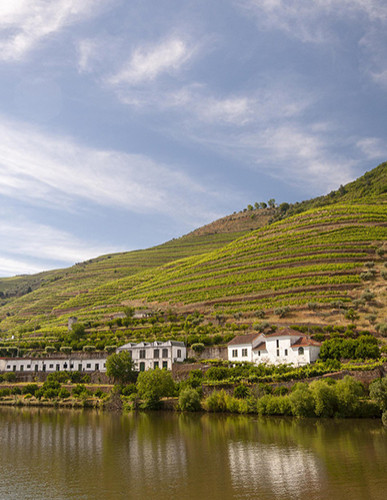 Berço do Vinho do Porto, é a região vitivinícola demarcada e regulamentada mais antiga do mundo. O Douro dispensa apresentações, mas obriga a uma visita.