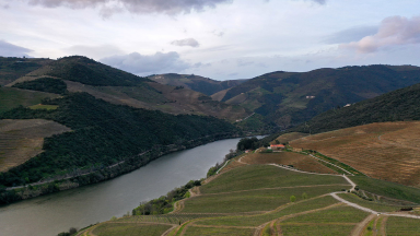 Especial Vinhos do Porto – Provar e Sentir o Douro #3