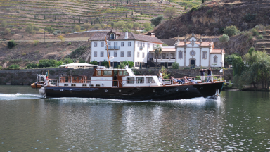 Um dia no Douro Valley #5